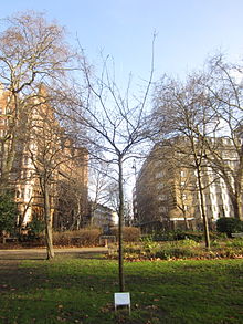 Russell Square in London